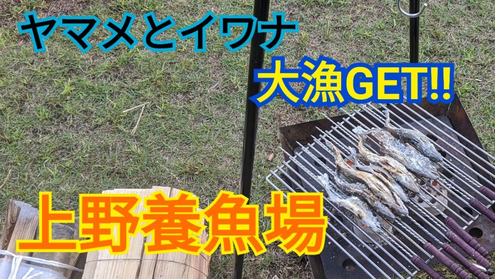 上野養魚場で川魚を大漁get ともマムファミリーブログ